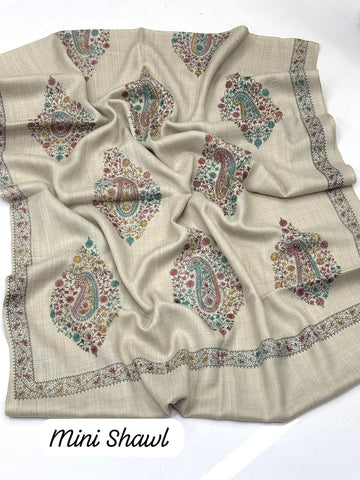 Pashmina Mini Trendy Kashmiri Shawl