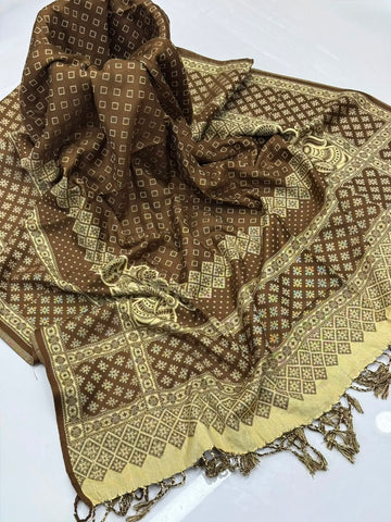 Pashmina Shawl
Beautiful Bnarsi Double Tone Shawl