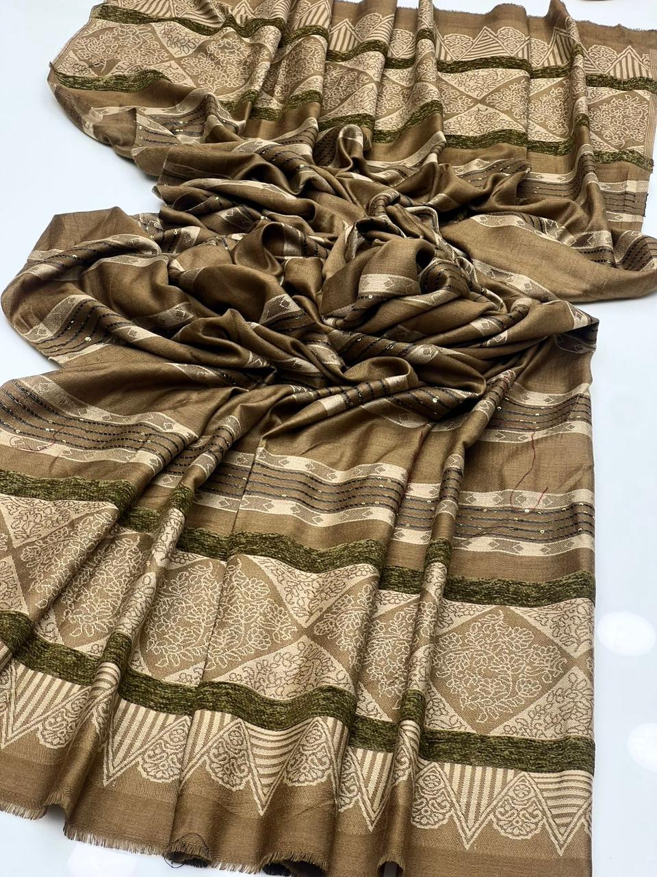 Pashmina Shawl
Banarsi Shawl With Sequence And Velvet Touch